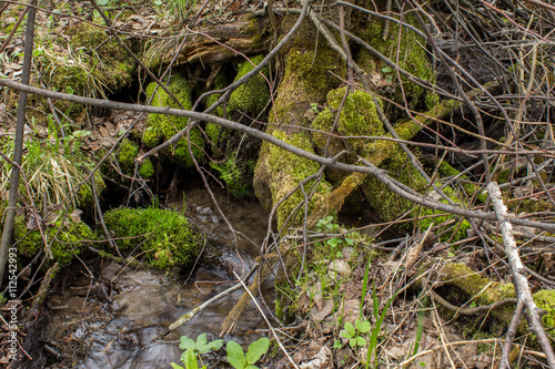 Mountain stream, the river flows through the fallen trees © anton_antonov