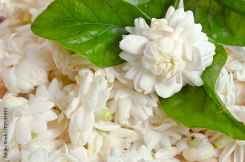 Jasmine flower with leaf placed on wooden board background photo