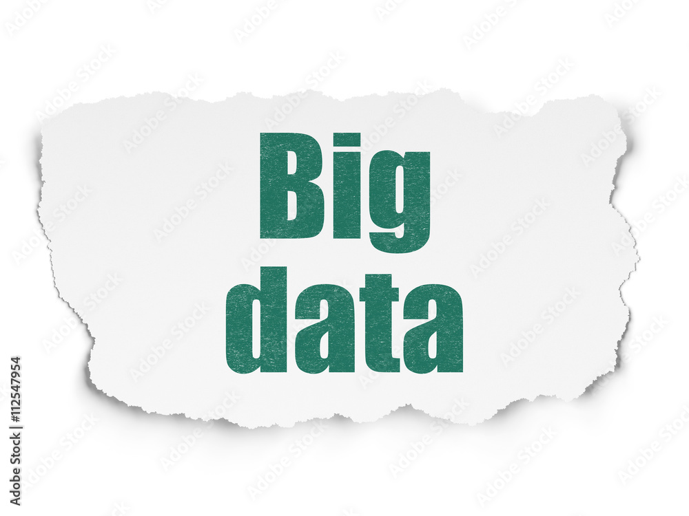 Data concept: Big Data on Torn Paper background