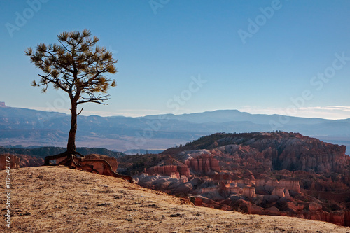 Scenic view of Bryce Canyon Southern Utah USA © philipbird123