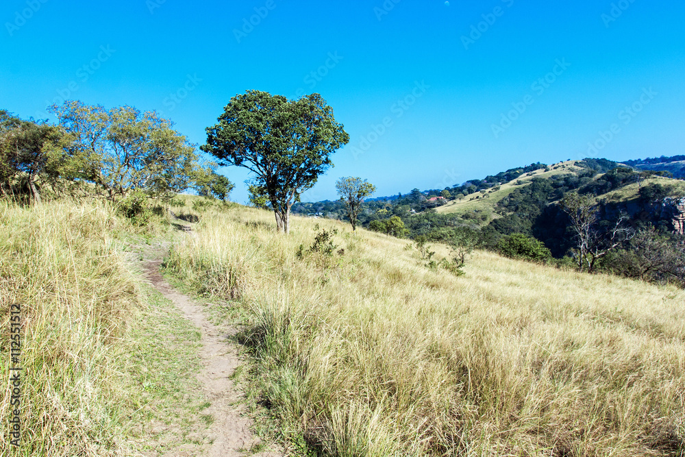 Hiking Trail Path in Nature Reserve with Blue Sky Hiking Trail Path in Nature Reserve with Blue Sky