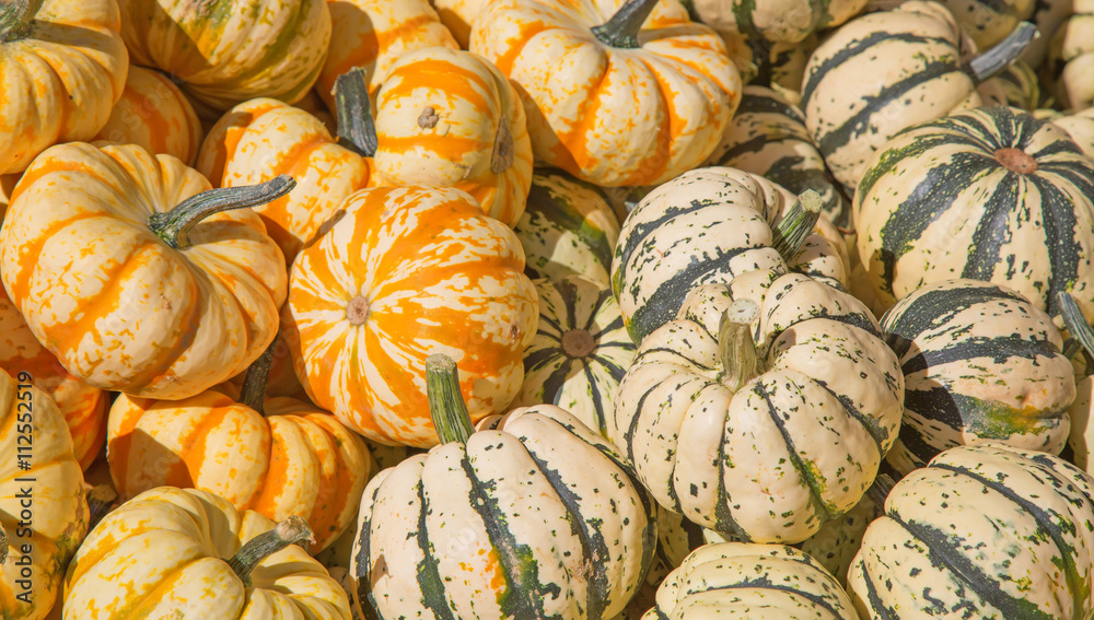 Colorful pumpkins