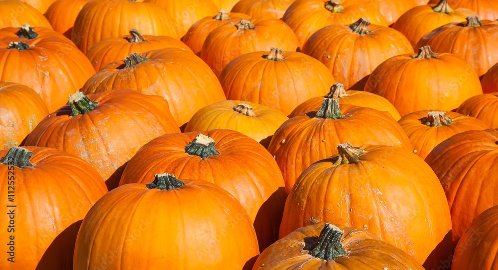 Colorful pumpkins Colorful pumpkins