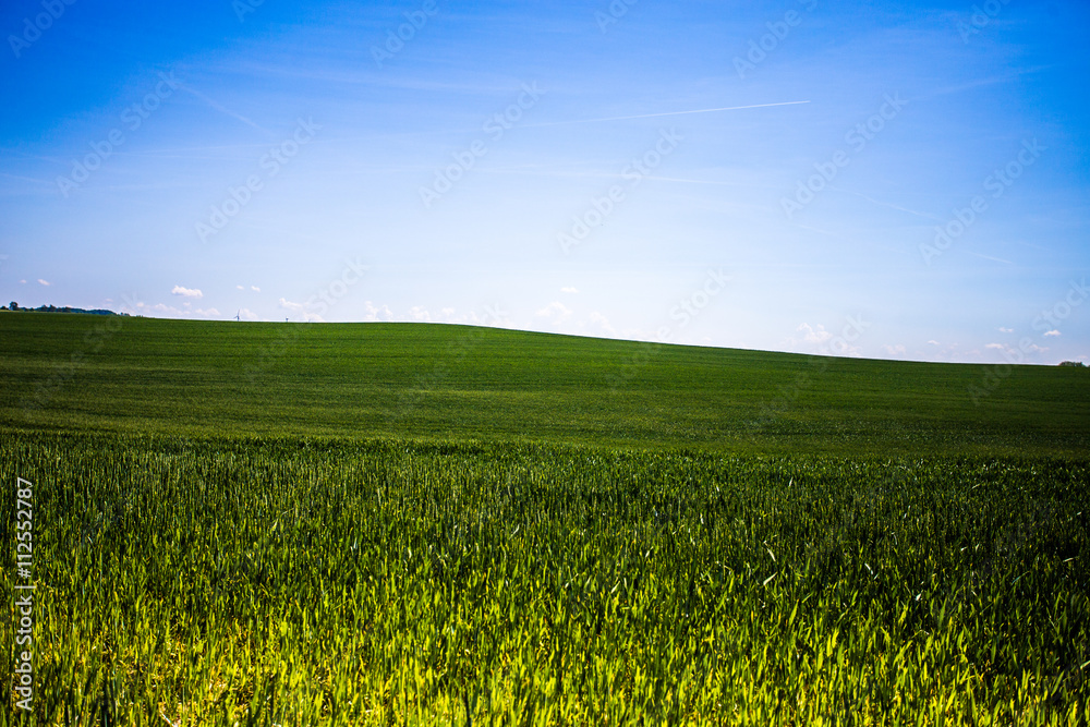 mecklenburg mecklenburg