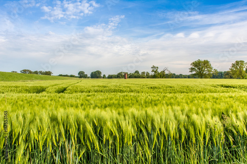 0360 Landschaft am Niederrhein