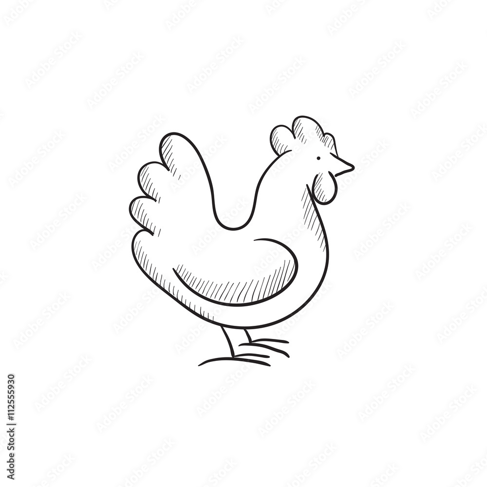 Chicken sketch icon. Chicken sketch icon.