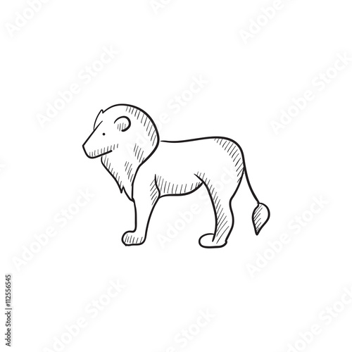 Lion sketch icon