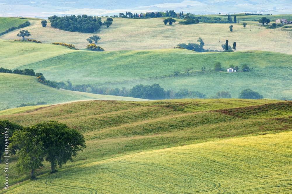 morning fields in Tuscany in Italy morning fields in Tuscany in Italy