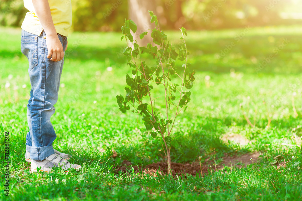 Both child and sapling are growing Both child and sapling are growing