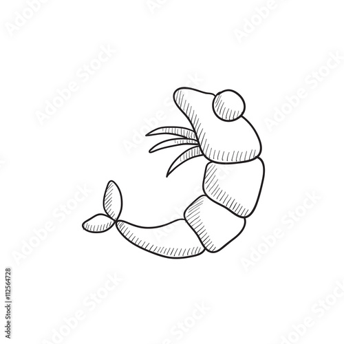 Shrimp sketch icon.