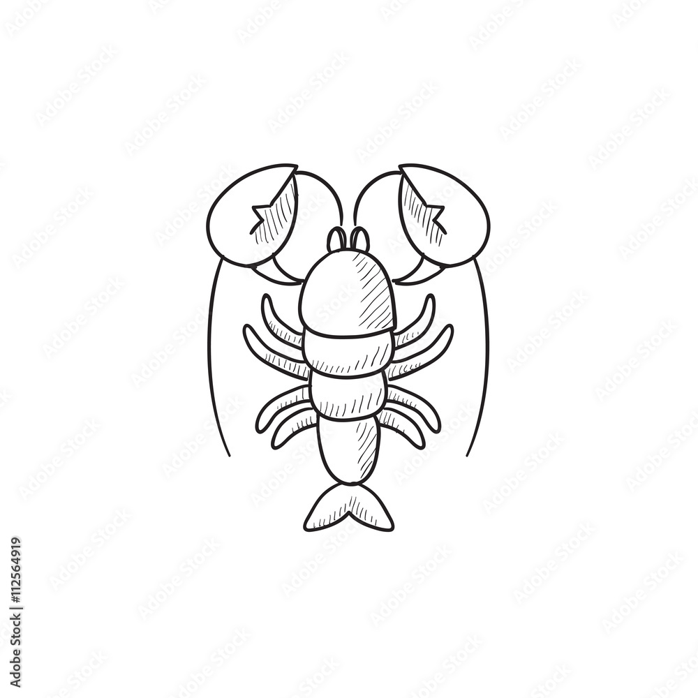 Lobster sketch icon.