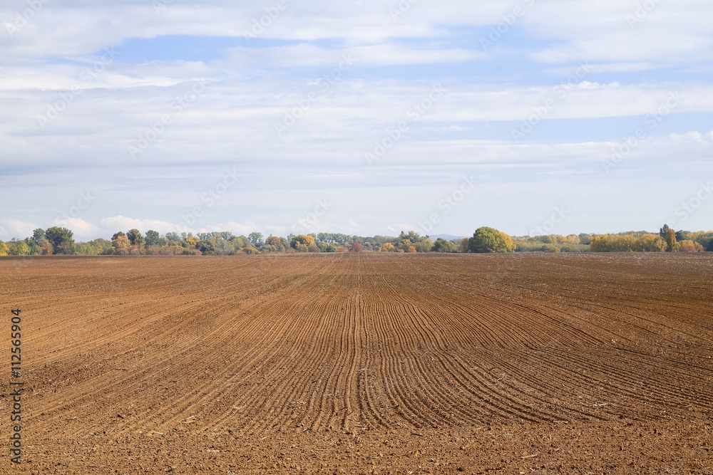 Agircutural field with brown soil
