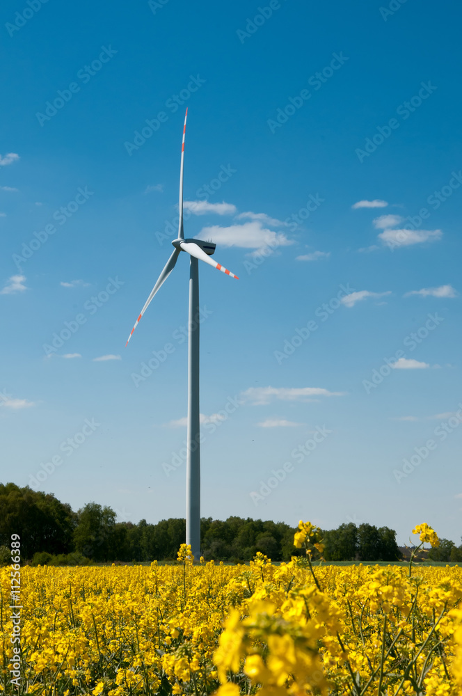 Wind power station in field with rape oil seed plants, Poland Wind power station in field with rape oil seed plants, Poland