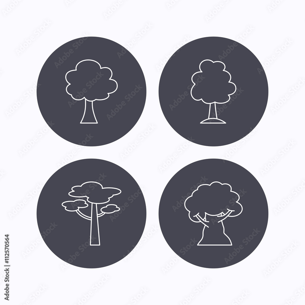 Pine tree, oak-tree icons. Pine tree, oak-tree icons.
