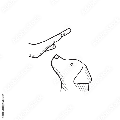 Dog training sketch icon.