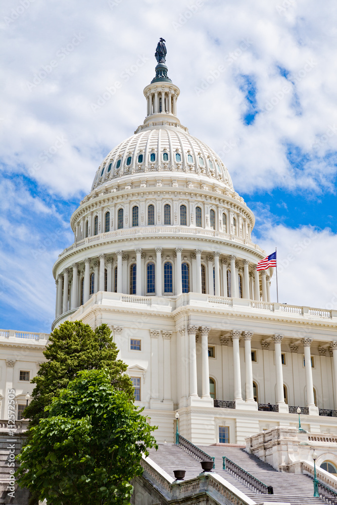 Obraz premium US Capitol Building