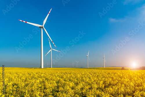 Sunset above windmills on the rape field