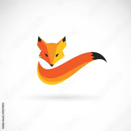 Vector of a fox design on white background. Animals. photo