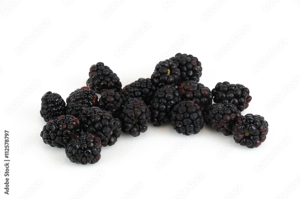 fresh blackberry isolated on white background fresh blackberry isolated on white background
