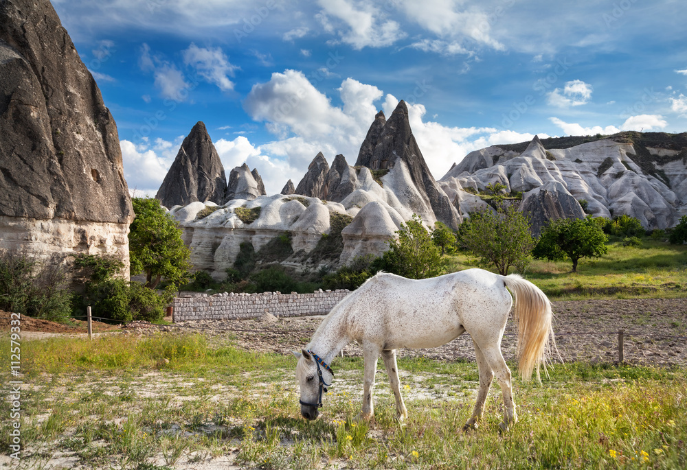White horse in Cappadocia