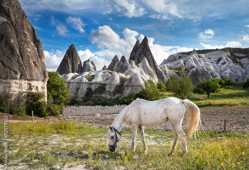 White horse in Cappadocia
