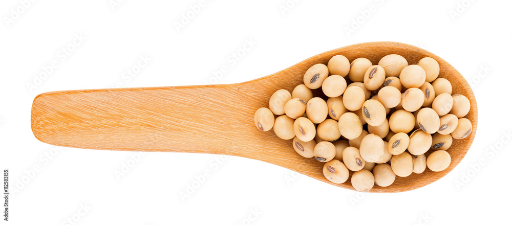soy beans on white background soy beans on white background