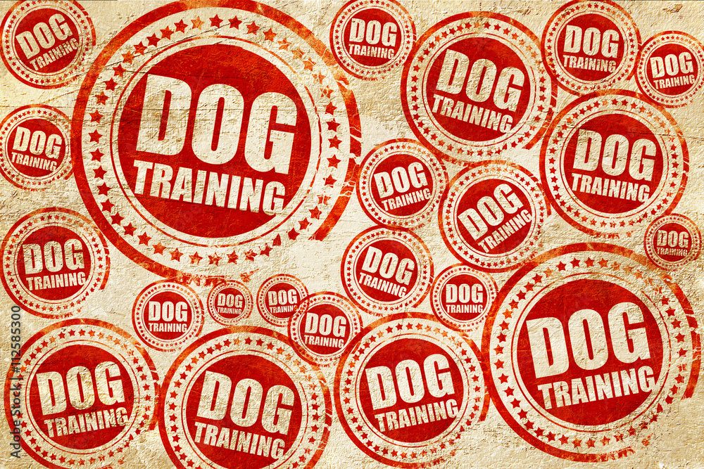 dog training, red stamp on a grunge paper texture