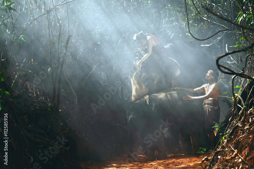 Photography The family of elephants , World Environment Day