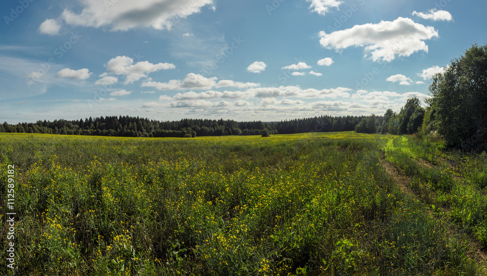 Obraz premium Russian expanses