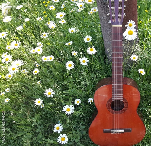 Gitaar in de natuur