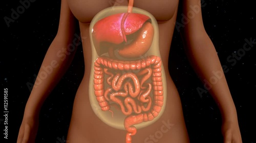 Peritoneal dialysis
