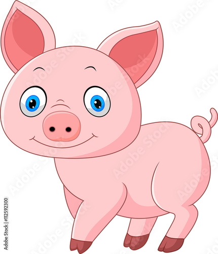 Cartoon pig isolated on white background 