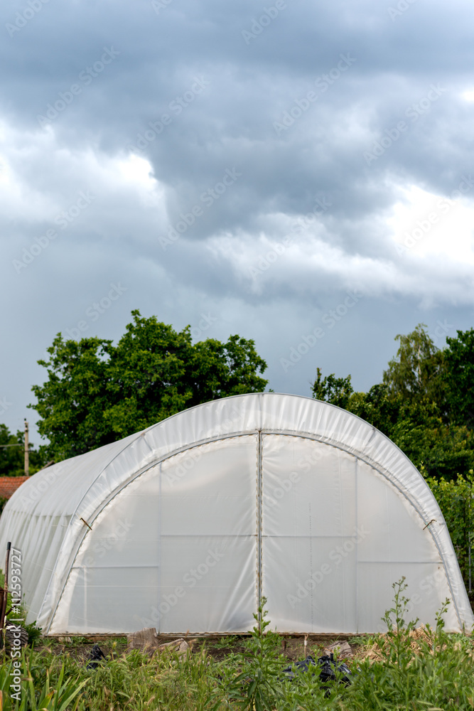 Cloudy sky above plastic greenhouse Cloudy sky above plastic greenhouse