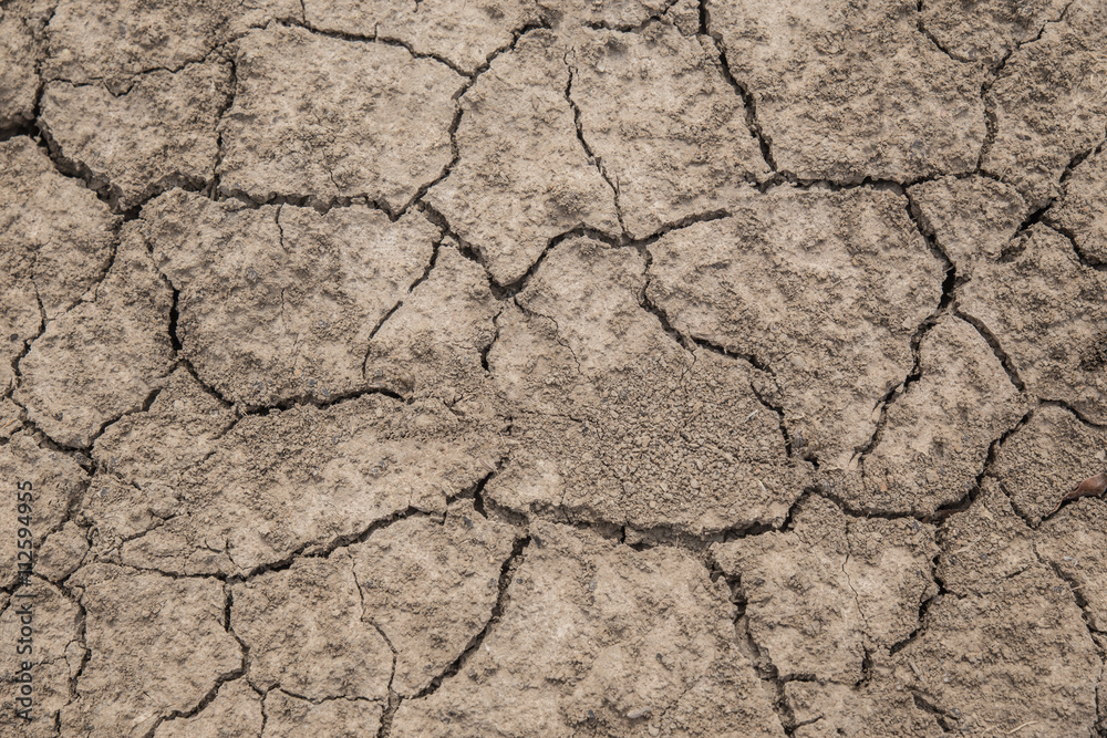 Cracked ground texture background Cracked ground texture background