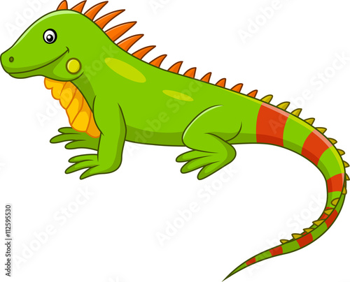 Cute iguana cartoon    