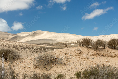 The desert landscape  Costa Calma on Fuerteventura.  Canary Island. Spain
