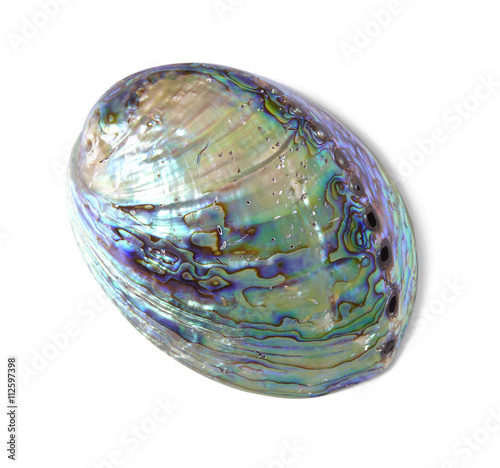 A shiny mother of pearl sea shell, isolated on a white background