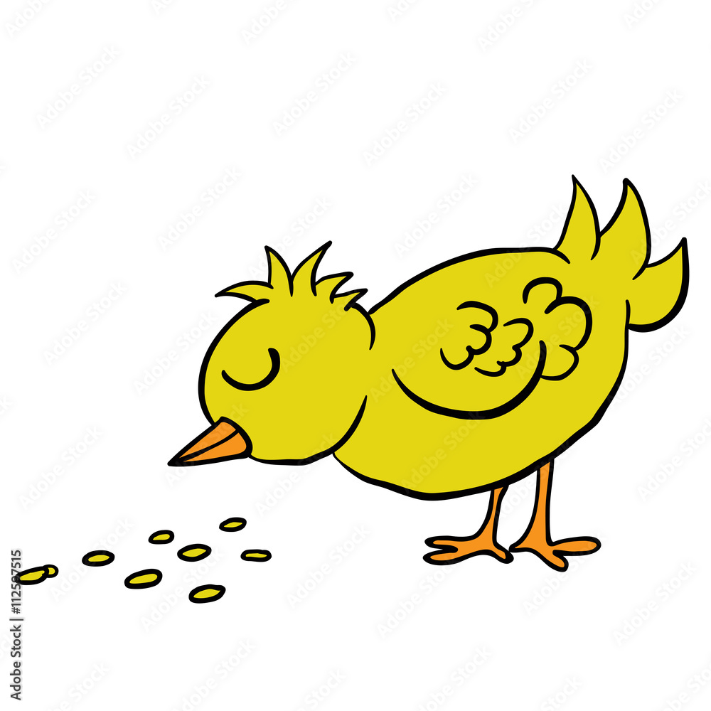 bird eating seed bird eating seed