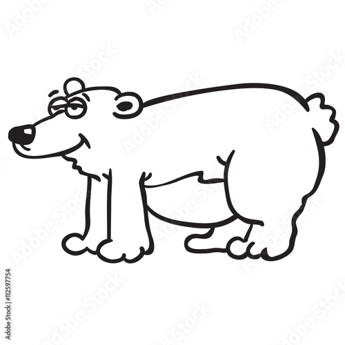 black and white bear