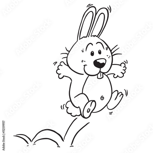 black and white jumping rabbit