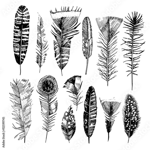 Hand drawn feathers.