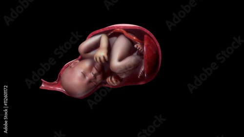 Labor and vaginal birth