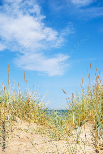 Baltic sea wild sandy beach