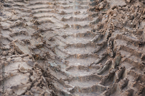 Close-up tire tracks truck on a dirt road in daylight © timonko