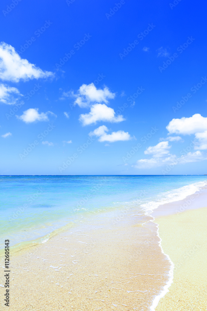 Fototapeta premium 美しい沖縄のビーチと夏空 