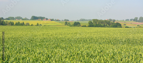 Campagne de Belgique