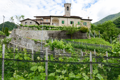 The church of San Zeno at Salorino surrounded by vineyards photo