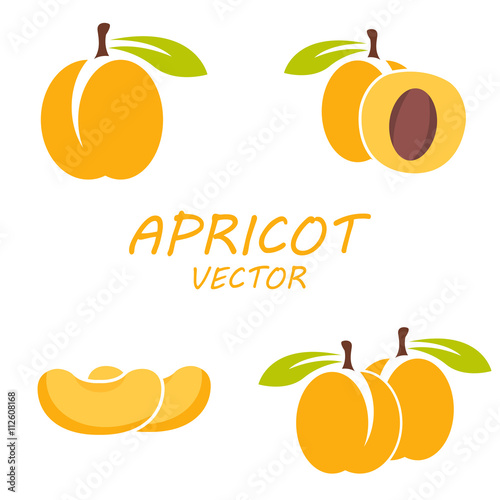 Vector flat apricot icons set