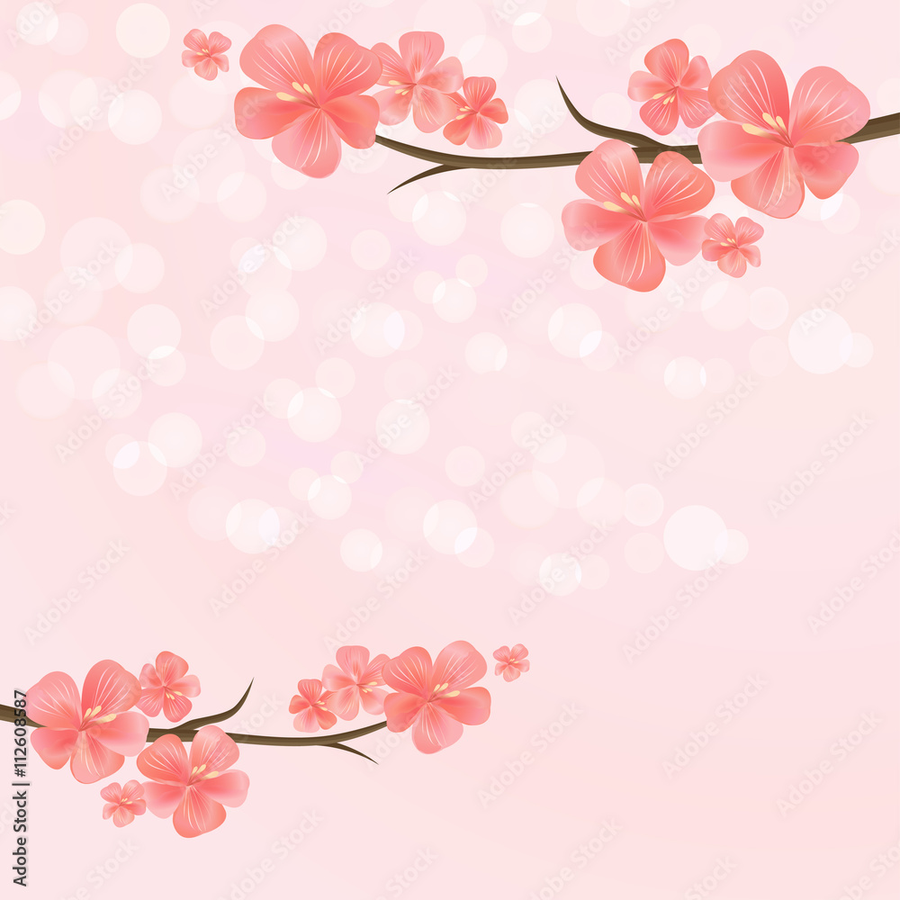 Flowers background. Flowers design. Vector abstract illustration. Sakura blossoms. Branch of sakura with flowers. Cherry blossom branch on pink. Vector