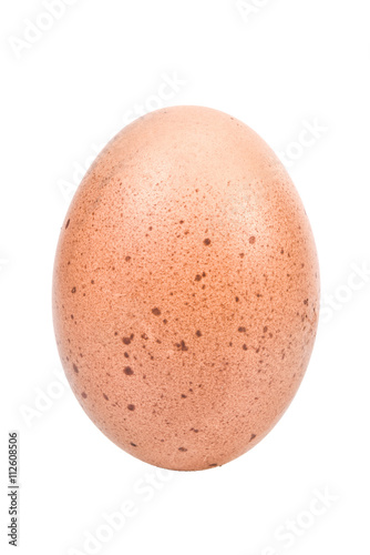 brown chicken egg on white background